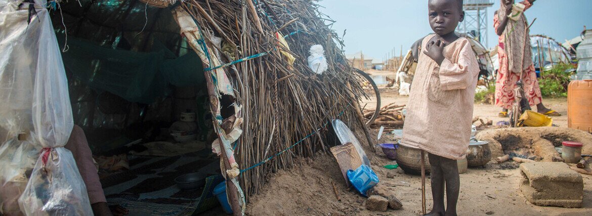 Lake Chad Basin Crisis