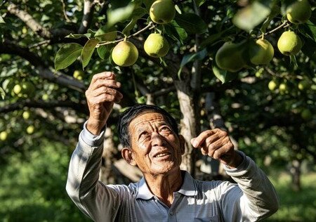 種了一輩子紅梨，他把一整片土地留給了孩子 - 圖像