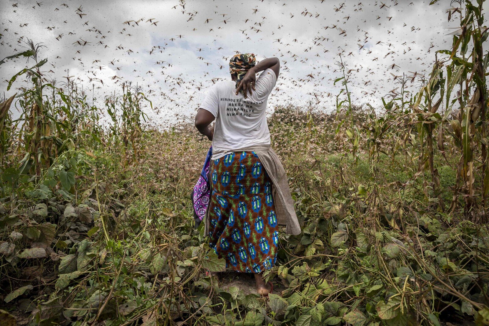 Carbon emissions of richest 1% more than double those of poorest half of the world