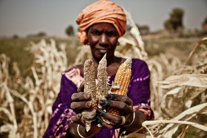 Smallholder Farmers Development