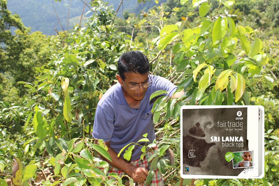 Farmer in bushes 