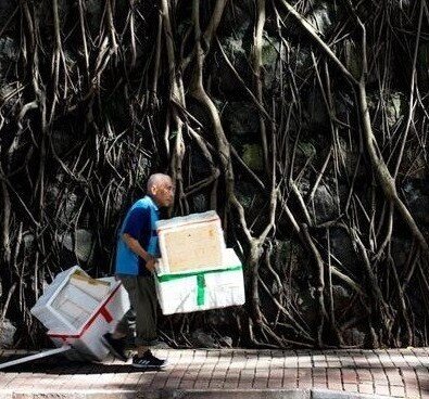 Image of Poverty in Hong Kong